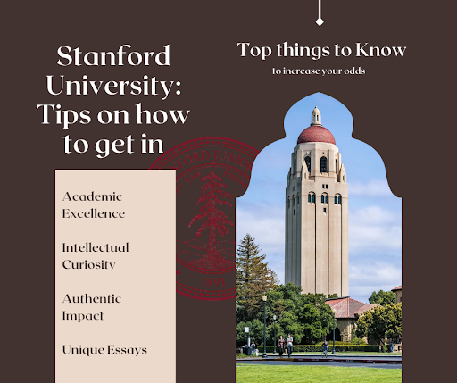 How to Get Into Stanford University: Admission Tips, Acceptance Rates, and What Stanford Looks For in 2025